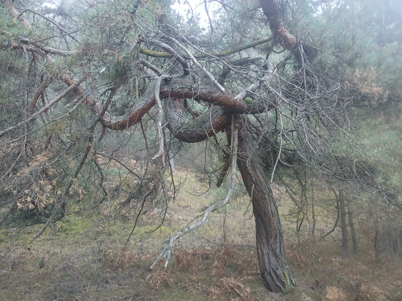 Партрулирование Гуниб