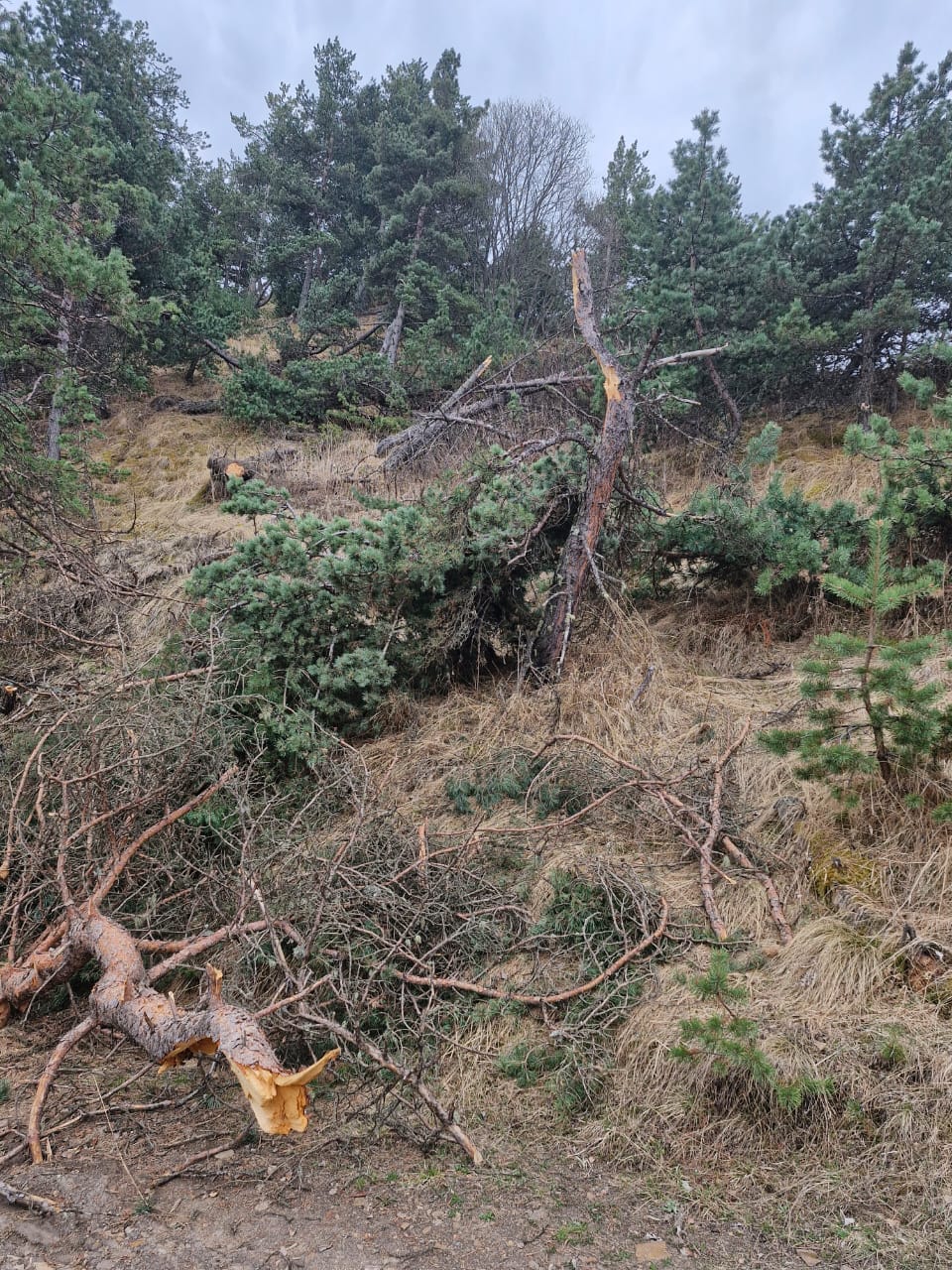 Патрулирование Гуниб