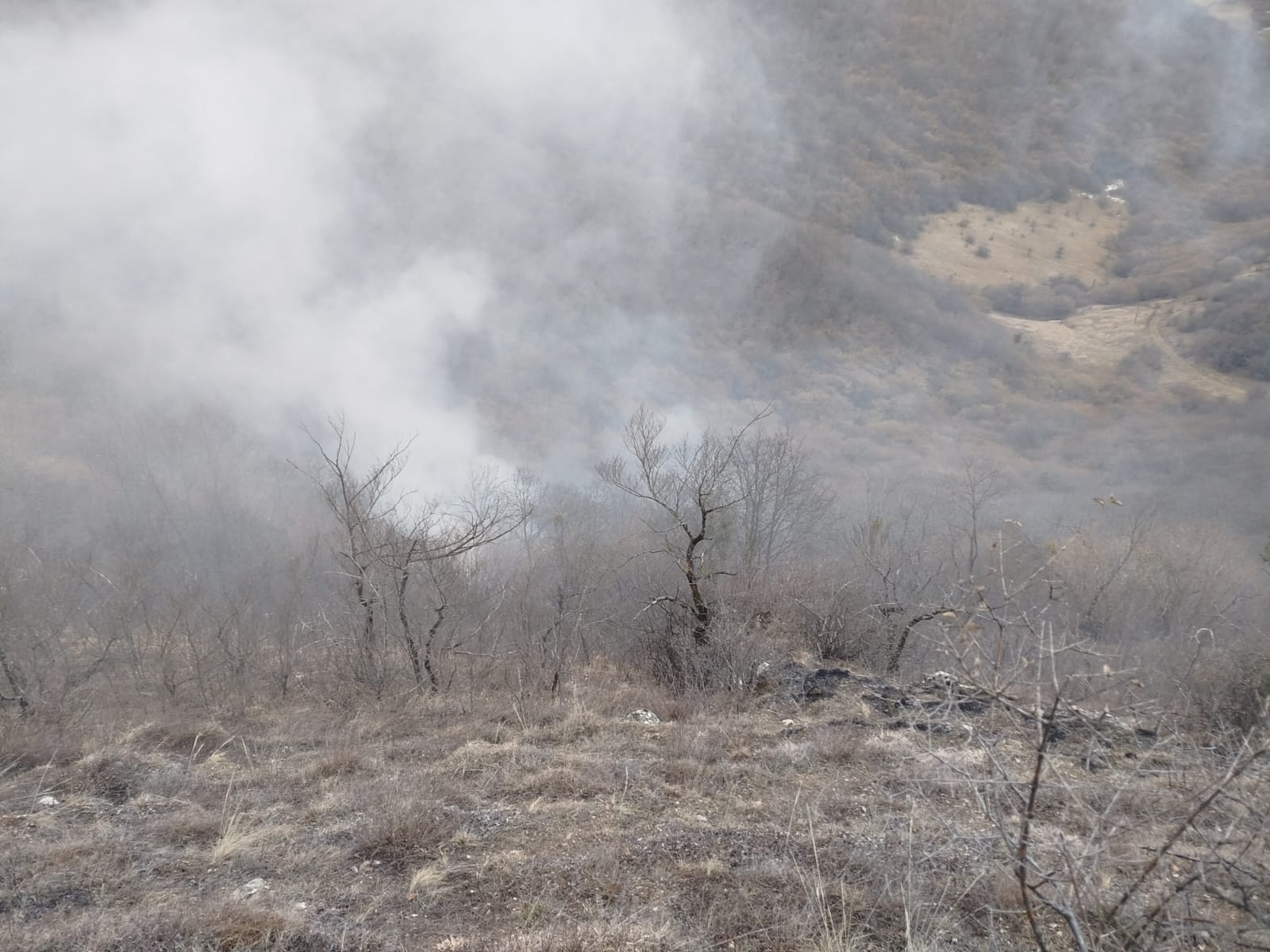 Патрулирование Хивское лесничество