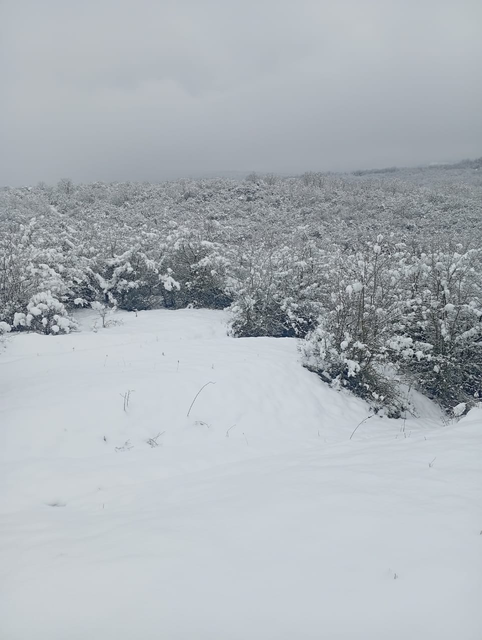 Патрулирование Кайтагское