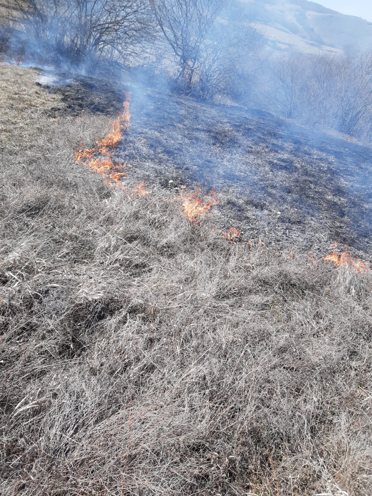 Возгорания Хивского района