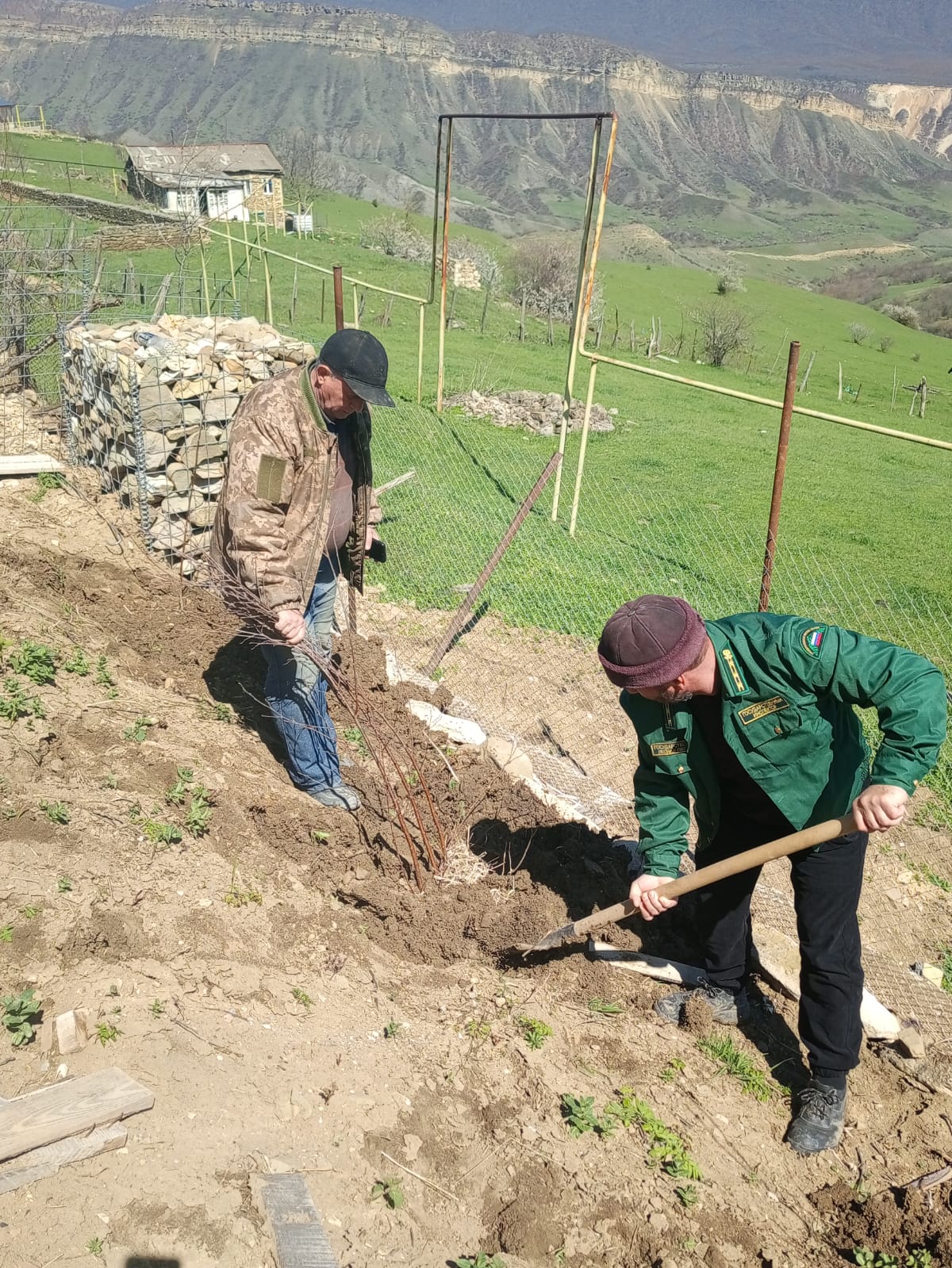 Сад Памяти хивское лесничество