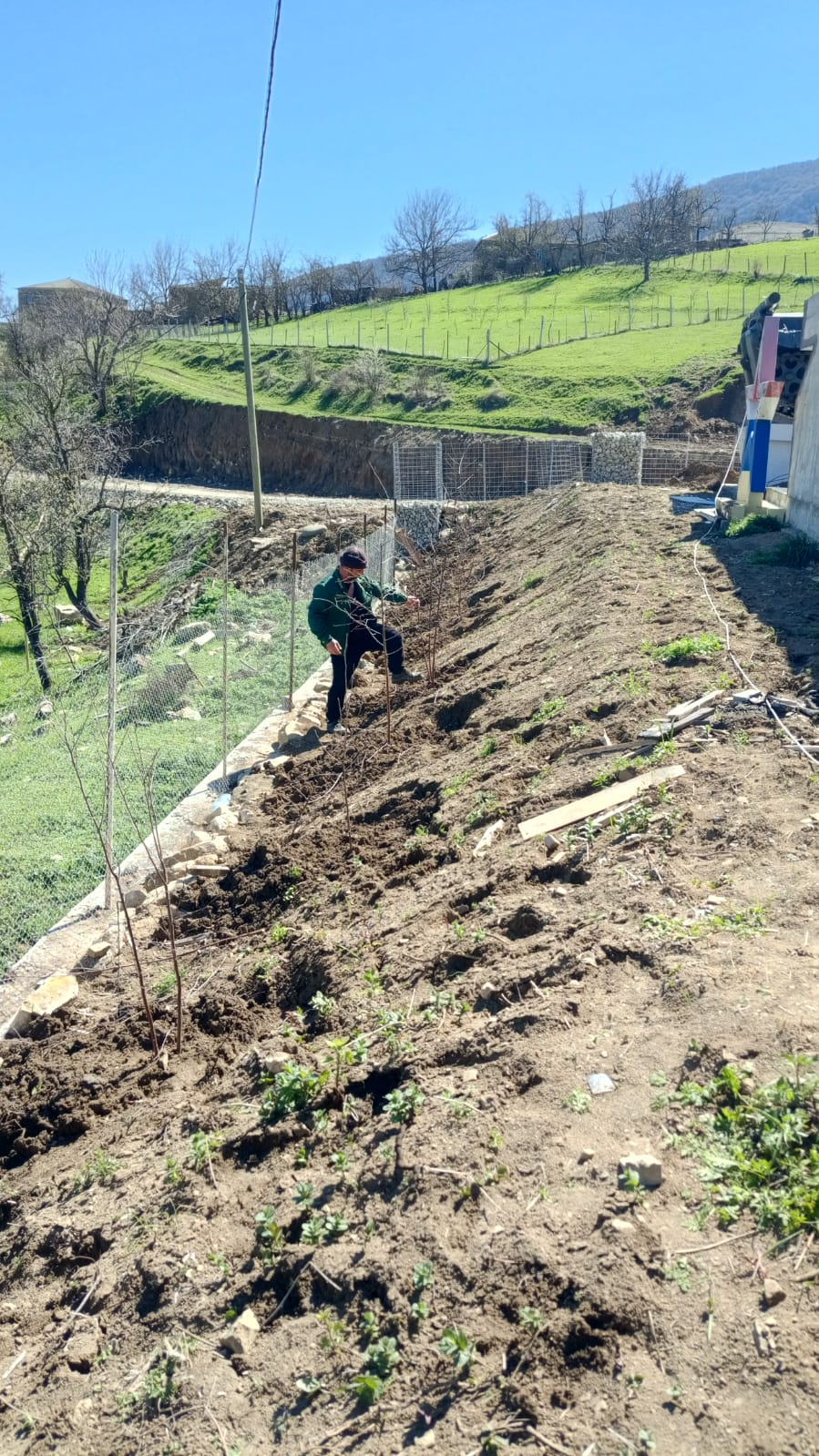 Сад Памяти хивское лесничество
