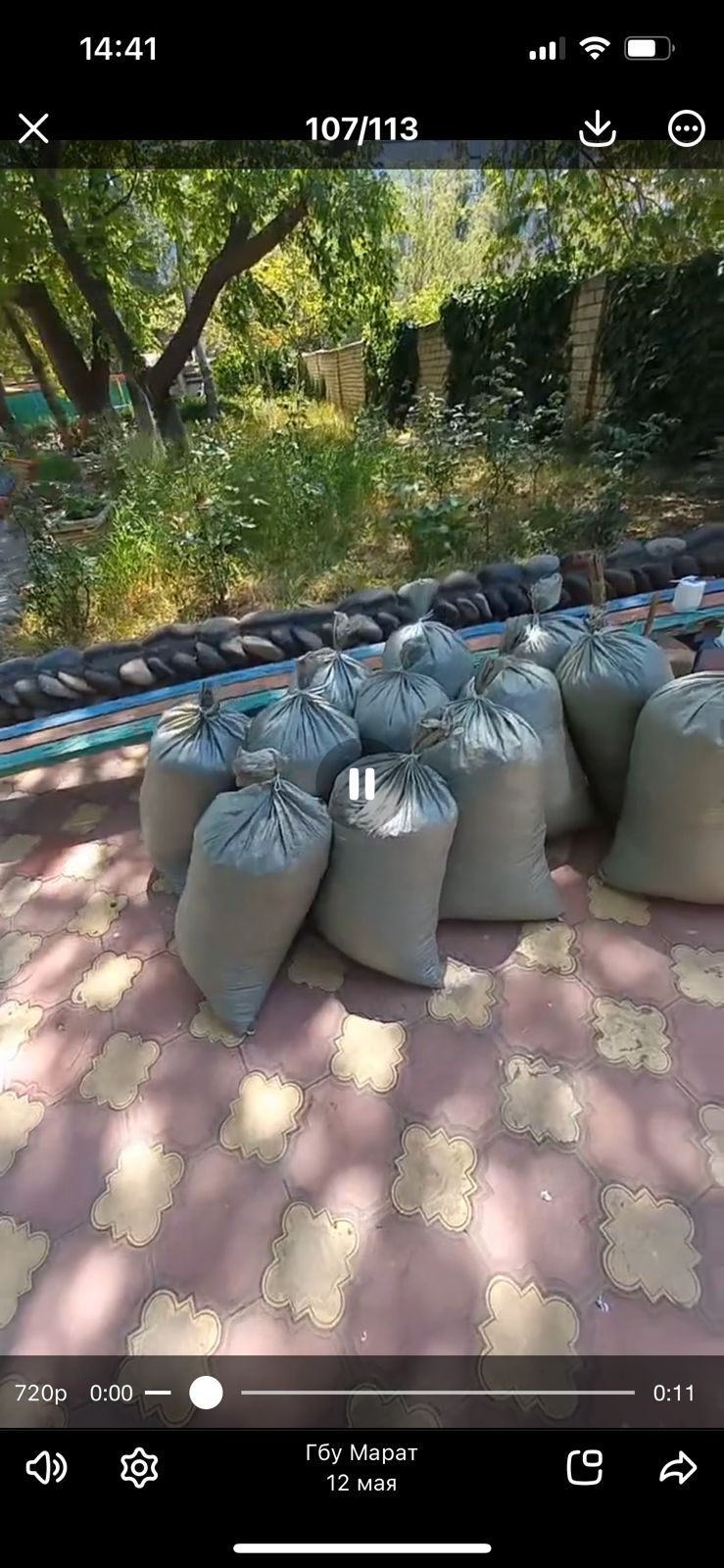 Сбор семян