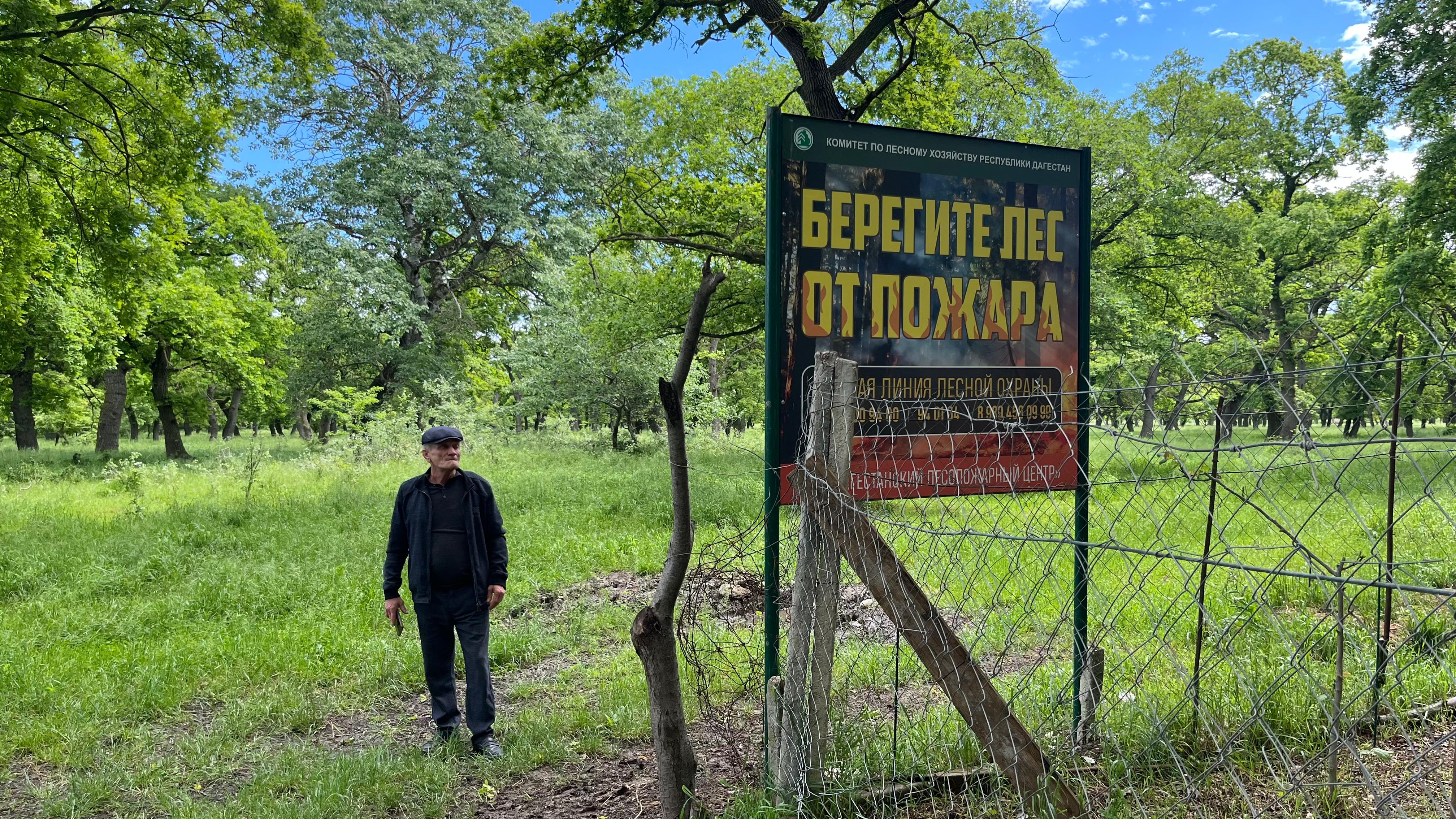 Проверка комитета сергокалинское лесничество