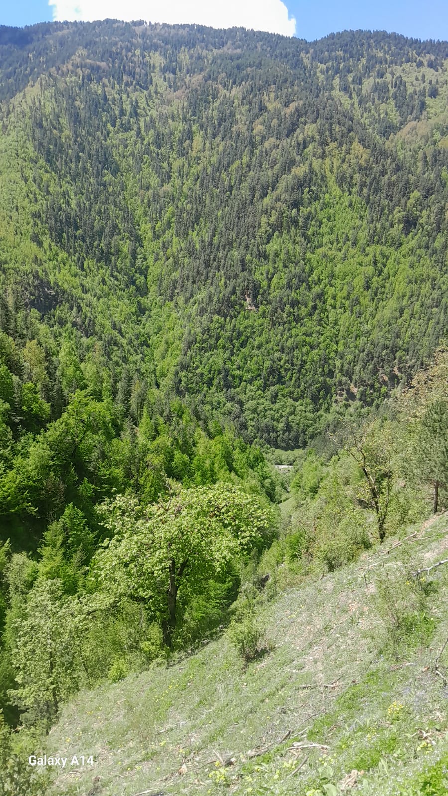 Патрулирование Цунта