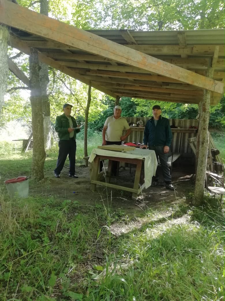 Проверка арендаторов