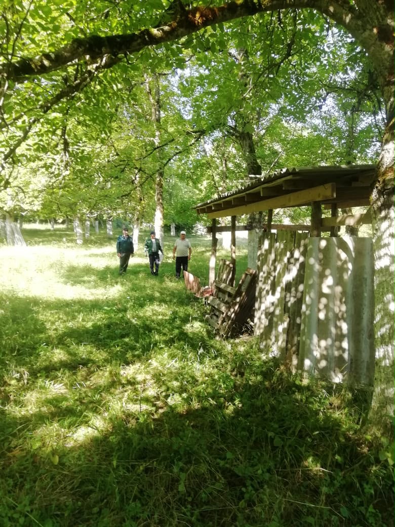 Проверка арендаторов