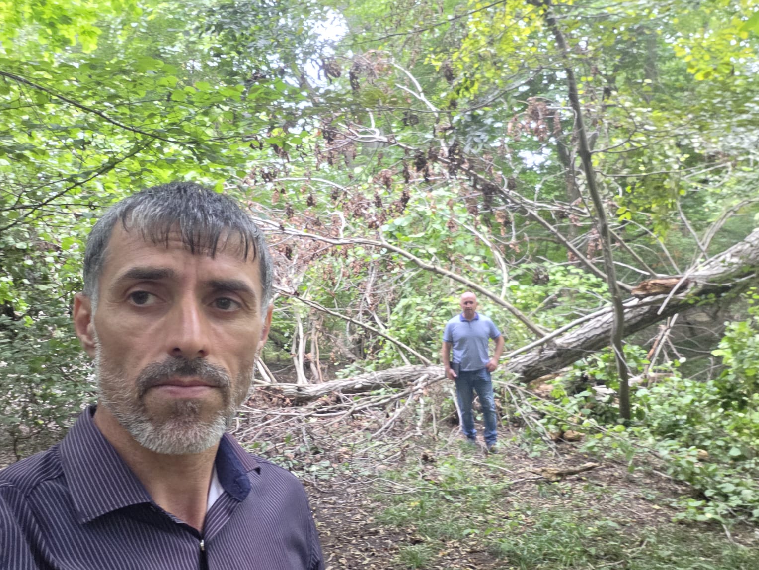 Вагаб Абдулхамидов в кайтагском лесничестве